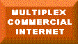 Multiplex Internet